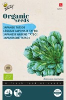 Bio Légume Japonais Tatsoi