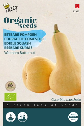 Courgette Comestible Waltham Butternut – Buzzy Organic Seeds
