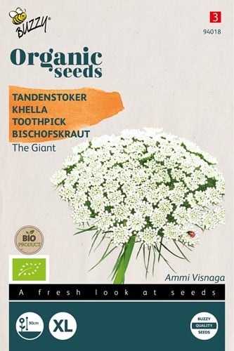 Bio Khella The Giant - Ammi Visnaga