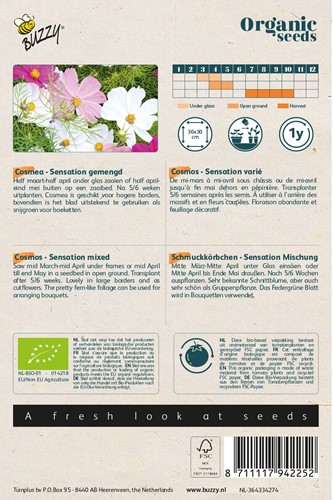 Bio Cosmea Sensation Mix-2