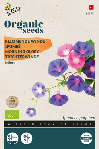 Ipomeé Variée Bio - Ipomoea purpurea