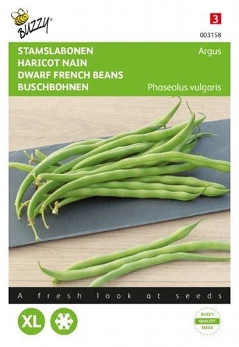 Haricot vert Argus - Buzzy