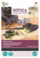 Tatsoi Légume japonais Rouge - Xotica Collection