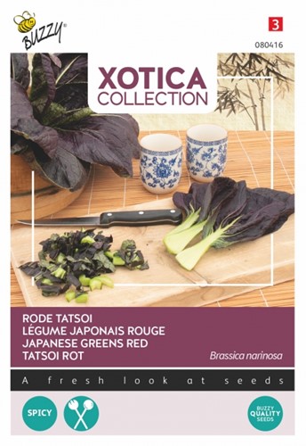 Tatsoi Légume japonais Rouge - Xotica Collection