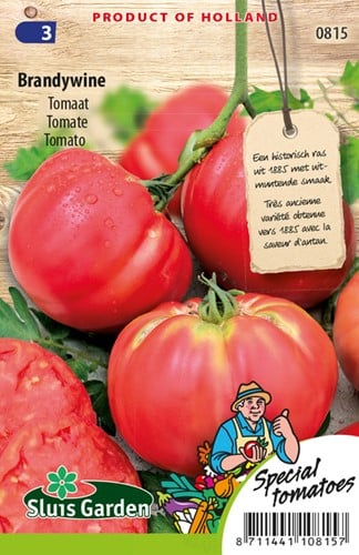 Tomate Pink Brandywine