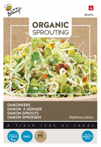 Daikon à germer - Buzzy Organic Sprouting