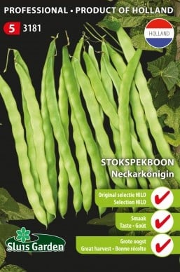 Haricot à rames Neckarkönigin - Sélection originale