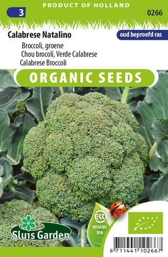 Chou Brocoli Vert Calabrese Natalino EKO