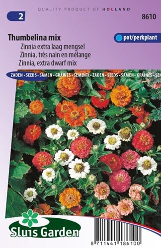 ZinniaThumbelina mix – Zinnia Elegans