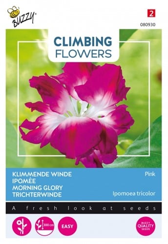 Ipomée Pink - Climbing Flowers