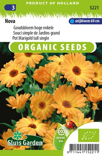 Souci unique Orange EKO - Calendula
