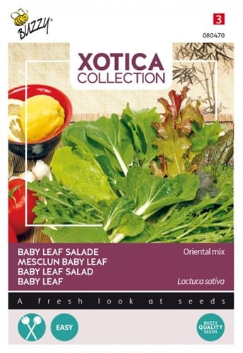 Mesclun Baby Leaf Oriental Mix - Xotica Collection