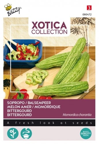 Melon amer / Momordique - Xotica Collection