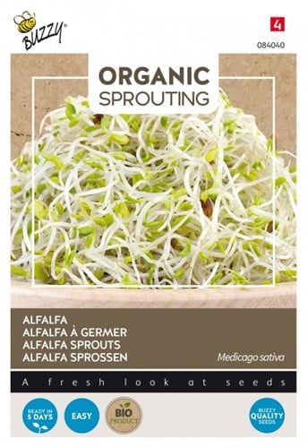 Alfalfa à germer BIO / Luzerne - Buzzy Organic Sprouting