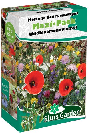 Épandeur mélange de graines de Fleurs des Champs SAUVAGE - Maxi Pack Sluis Garden
