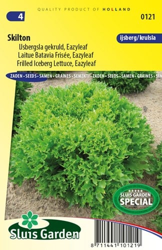Laitue Batavia frisée Skilton