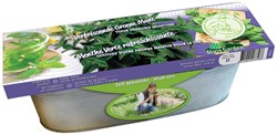 Kit Menthe Crépue