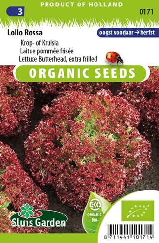 Laitue pommée frisée Lollo Rossa EKO