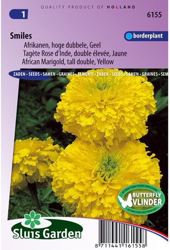 Tagète Smiles - Tagetes