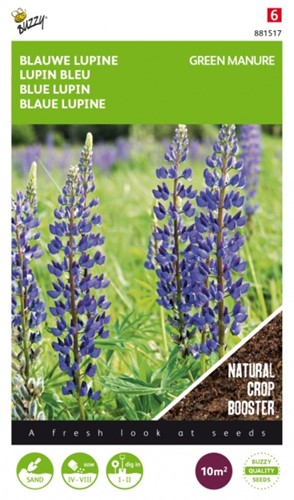 Fumage ou d'engrais vert Lupin blue / 100gr - 10 m2