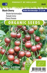 Tomate Cerise Black Cherry EKO
