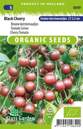 Tomate Cerise Black Cherry EKO