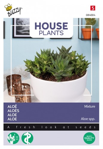 Aloès Mélange - Buzzy House Plants