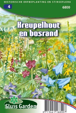 Bordures ensoleillées des fourrés et de la lisière d'un bois