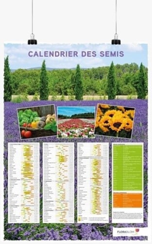 Poster Calendrier des Semis Français - Plié