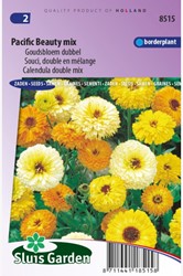 Souci double Pacific Beauty mix - Calendula