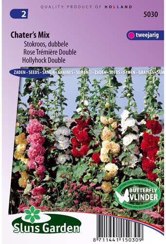 Rose Trémière double Chater's Mix - Alcea rosea