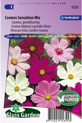 Cosmos bipinné à grandes fleurs Sensation Mix