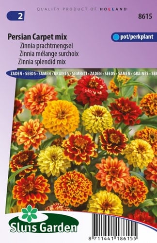 Zinnia Persian Carpet mix – Zinnia Haageana
