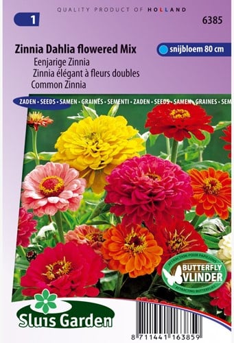 Zinnia élégant à fleurs doubles Dahlia flowered Mix