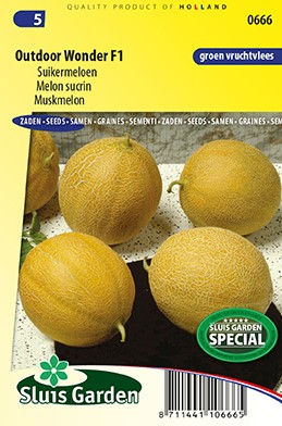 Melon sucrin Outdoor Wonder F1 (Cucumis melo)