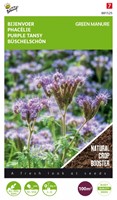 Groenbemester Phacelia / 100gr - 100 m2