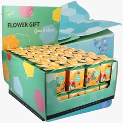 Buzzy Flower Gift (48x) Mélange de Fleurs pour Insectes (Présentoir 48x)