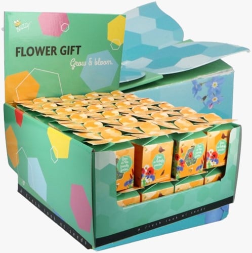 Buzzy Flower Gift (48x) Mélange de Fleurs pour Insectes (Présentoir 48x)