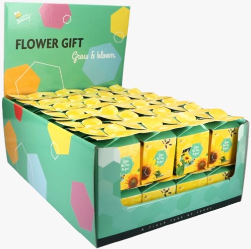 Buzzy Flower Gift (48x) Tournesol - Helianthus (Présentoir 48x)