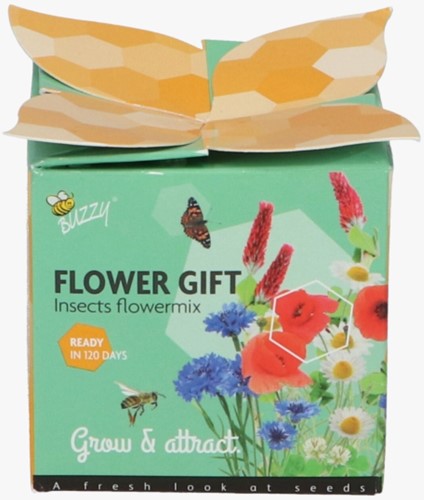 Buzzy Flower Gift Flowermix - Insectes Melange (1 boîte)