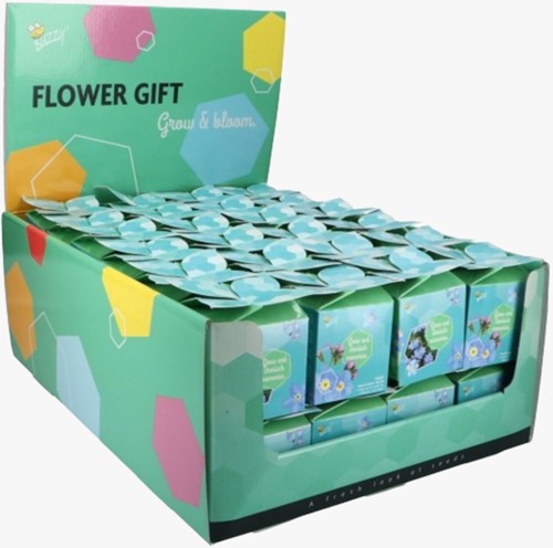 Buzzy Flower Gift (48x) Ne m'oubliez-pas - Myosotis (Display 48x)
