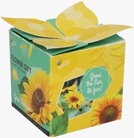 Buzzy Flower Gift Tournesol - Helianthus (1 boîte)-2