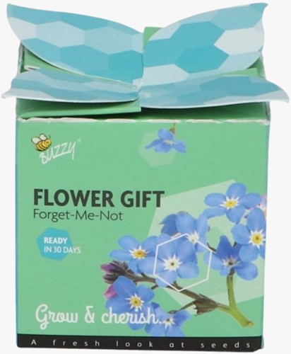 Buzzy Flower Gift Ne m'oubliez-pas - Myosotis (1 boîte)
