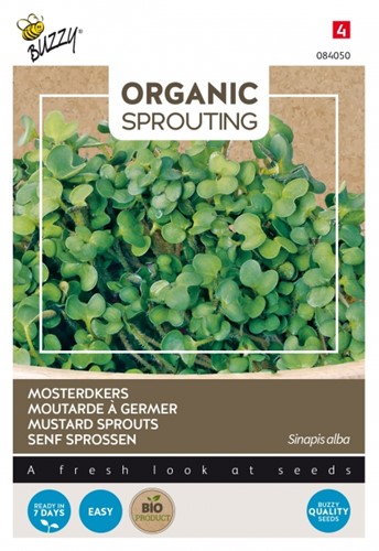 Organic Sprouting Germes de Moutarde - Buzzy