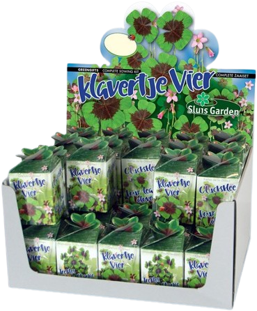 Greengift Trèfle à quattre feuilles 40 pcs en showbox
