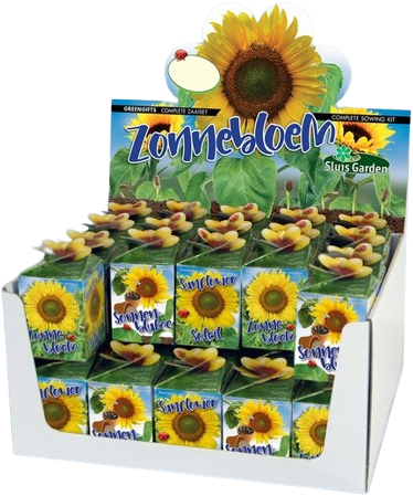 Greengift Tournesol 40 pcs en Showbox