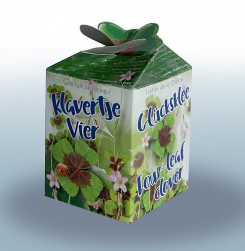 Trèfle à quattre feuilles Greengift
