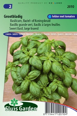 Basilic Grand vert - Ocinum - Basilicum - 625 graines