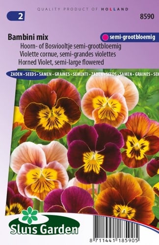 Pensée à Corne Bambini Mix – Viola Cornuta