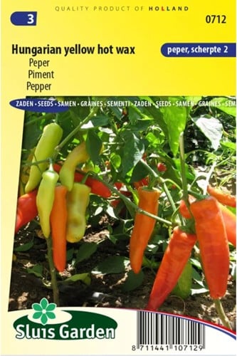 Piment Hungarian Hot Wax - Capsicum annuum 